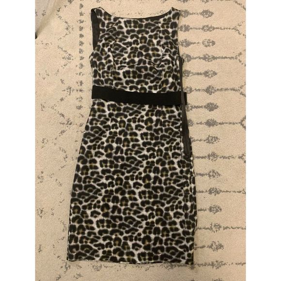 Ann Taylor Dresses & Skirts - Ann Taylor Sleeveless Cheetah Print Dress 2